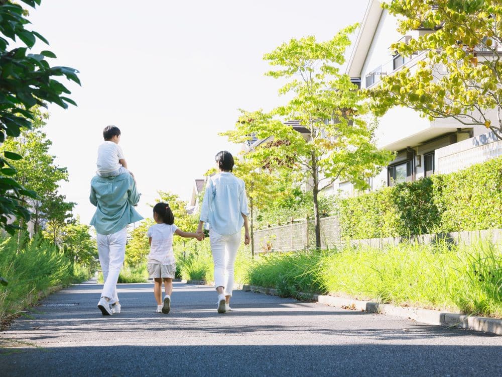 The healing power of a nature walk: Simple steps for stress relief and mental clarity