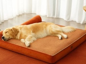 What is the best material for a couch with dogs