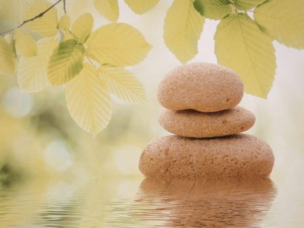 Simple Daily Rituals for a Calmer, More Intentional Life (Morning ...